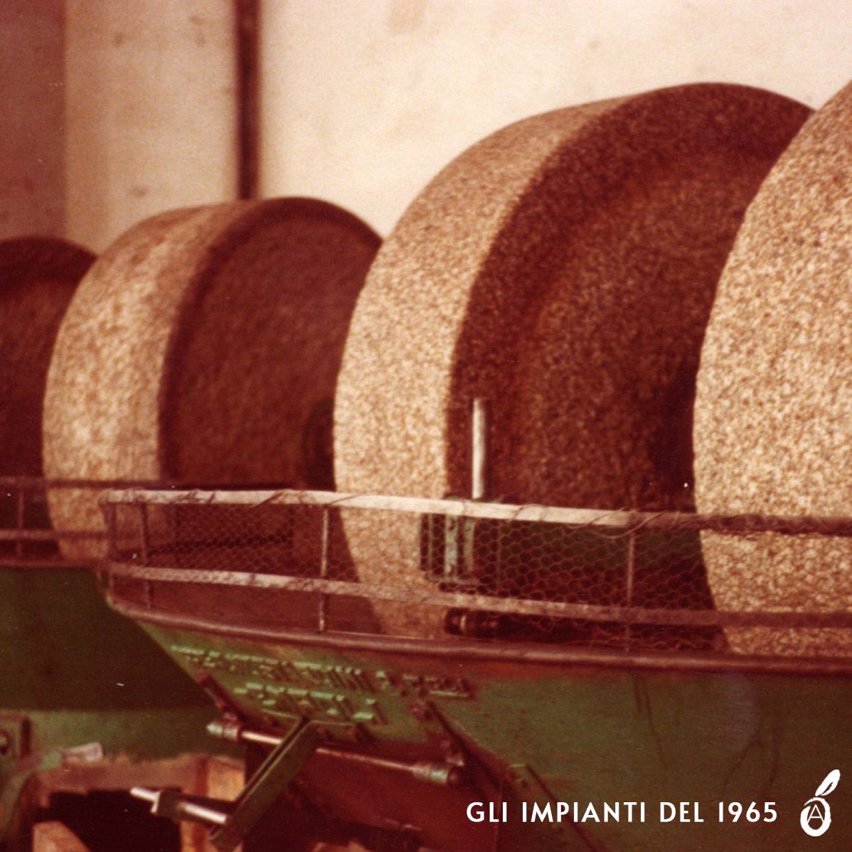 Le macine in pietra degli impianti del frantoio nel 1965